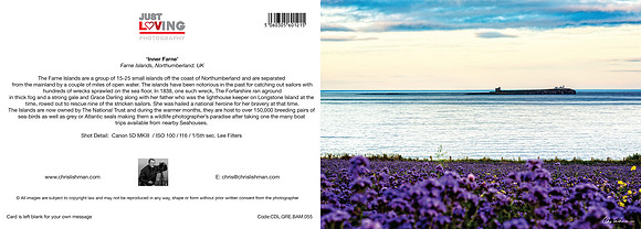 Inner Farne_A5 Greeting Card_CDL.GRE.BAM.055