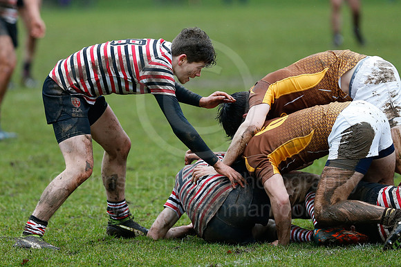RGS 7'S at Durham_0043_LC_6589
