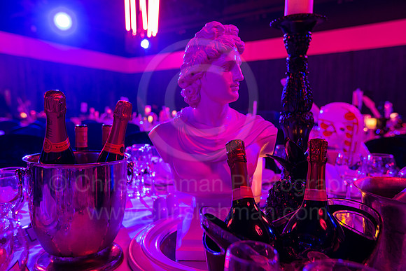 ASF Ball 2017_001_LA_9435