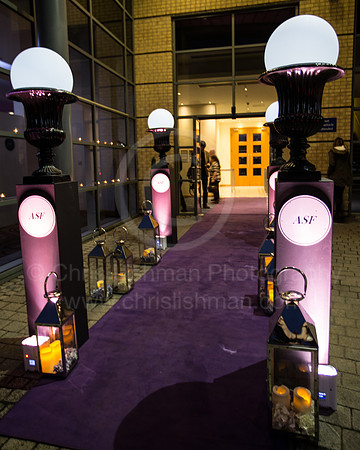 ASF Ball 2017_007_LA_9471