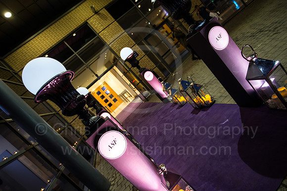 ASF Ball 2017_008_LA_9475