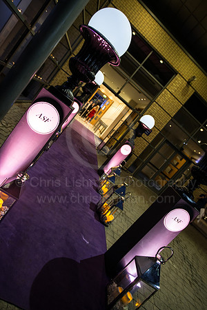 ASF Ball 2017_009_LA_9478