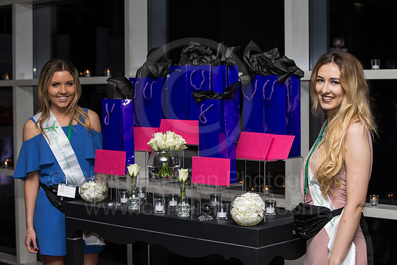 ASF Ball 2017_016_LC_9405