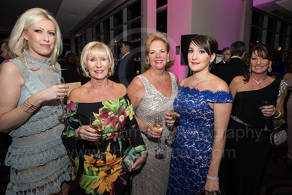 ASF Ball 2017_043_LA_9602