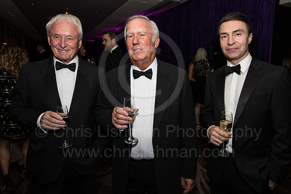 ASF Ball 2017_044_LA_9605