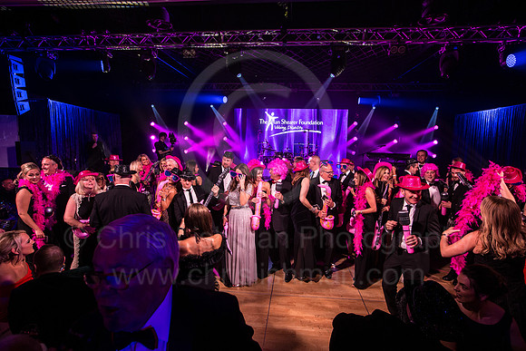 ASF Ball 2017_168_LA_9921