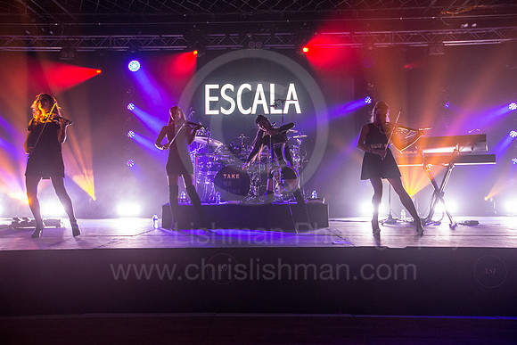 ASF Ball 2017_214_LA_0109
