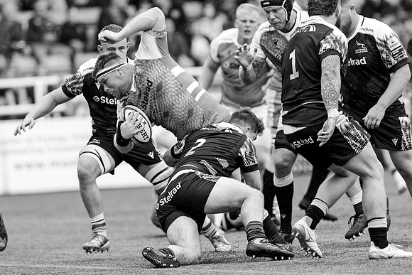 FAL (N)_FAL (S)_CDL_12-08-2023_CL_519814B&W