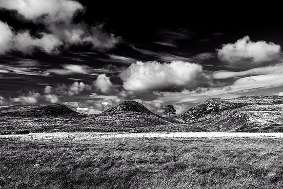 3H9A0069A_b&w