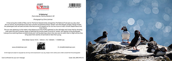 A Gathering_A5 Greeting Card_CDL.GRE.FAR.015
