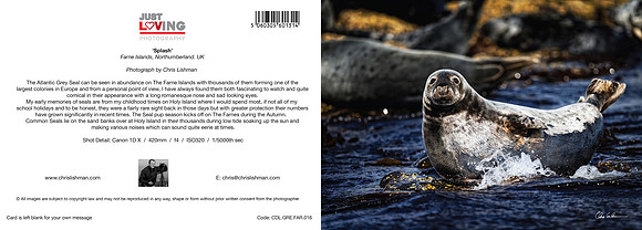 Splash_A5 Greeting Card_CDL.GRE.FAR.016