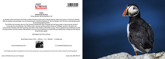 Puffin_A5 Greeting Card_CDL.GRE.FAR.017