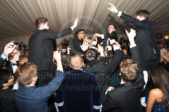 DSBALL_113_LC_8410