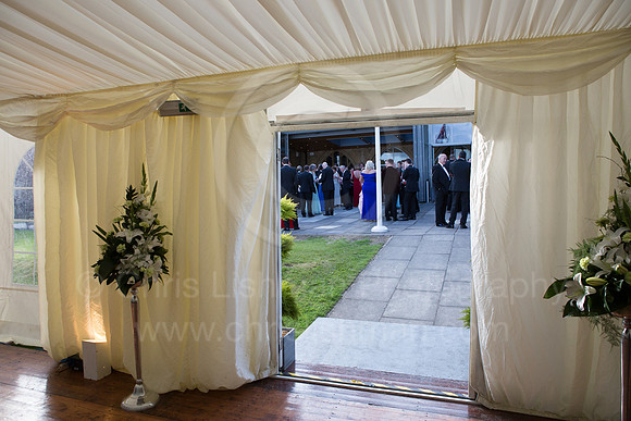 DSBALL_211