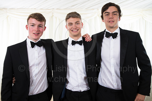 DSBALL_313