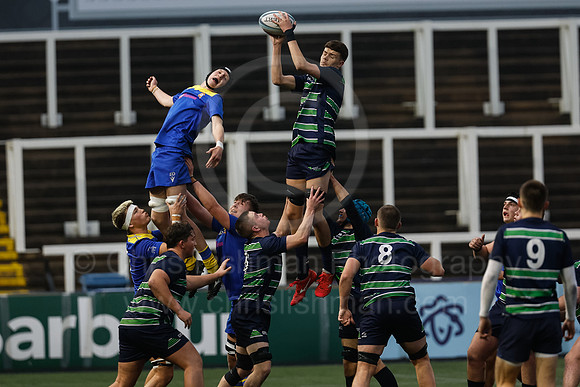Gossy v B Burton_CDL_16-10-2024_CL_1221593