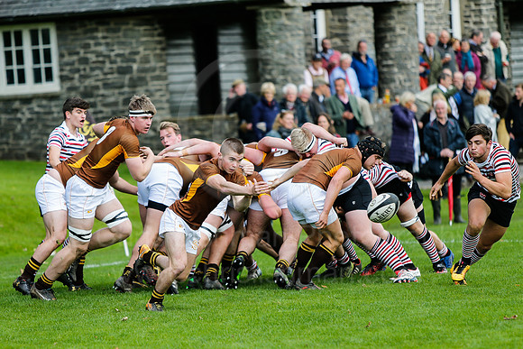 SedberghvRGS_0013__LC_7887