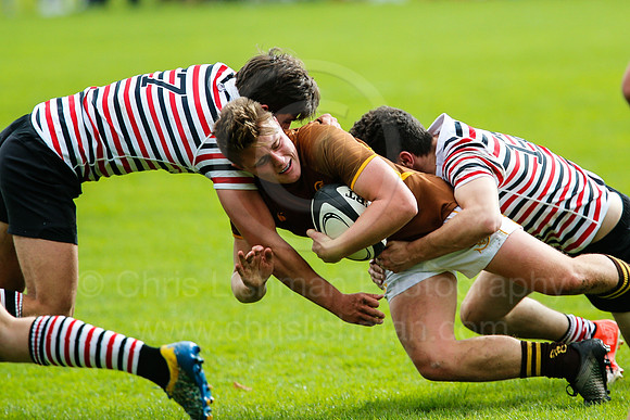 SedberghvRGS_0026__LA_7813
