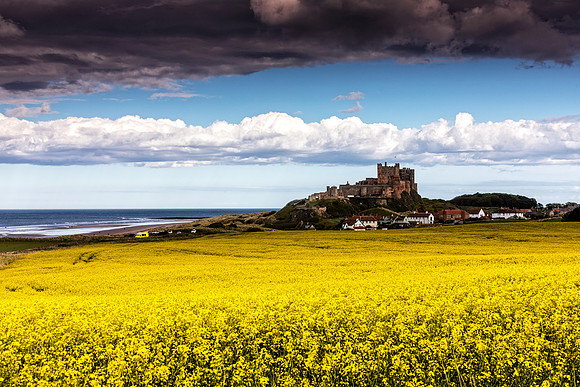 Oliseed Rape and Castle