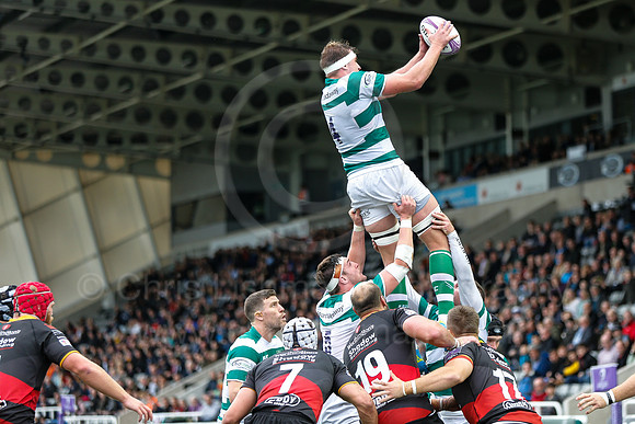 Falcons v Dragons_117_LA_9527