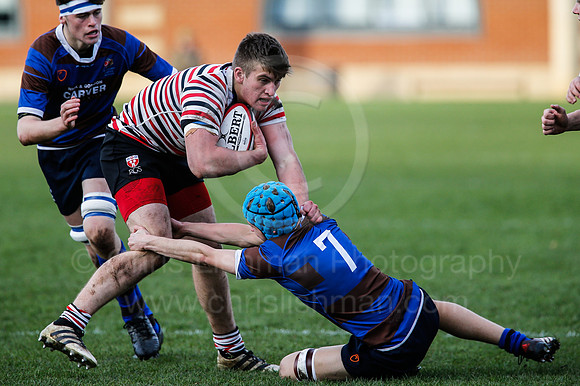 RGSvBarney_0013_LC_3741