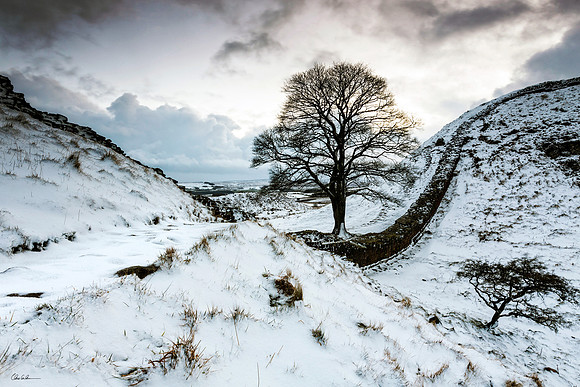 " Winter at Sycamore Gap"