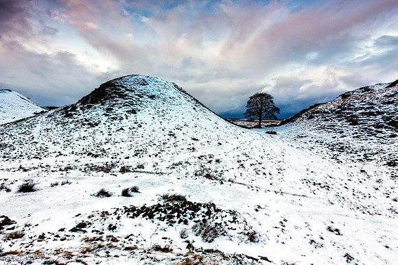 "Winter Returns to Sycamore Gap"