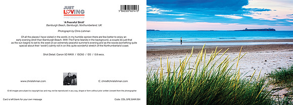 A Peaceful Stroll_A5 Greeting Card_CDL.GRE.BAM.064