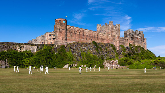 Cricket