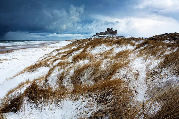 "Winter View"