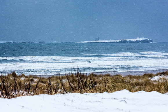 "Snowcapped"