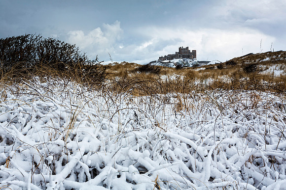 "From the Dunes"