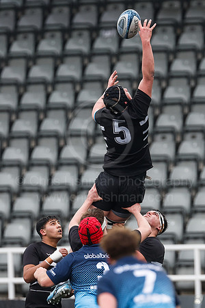 Acad 18's v Yorks_CDL_08-02-2025_CL_1341830