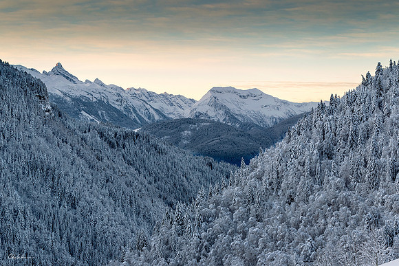 "Winter Dawn"