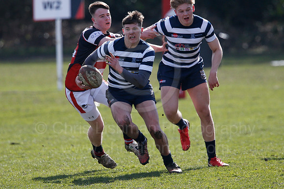 Rosslyn Park 7's_022_LC_6950