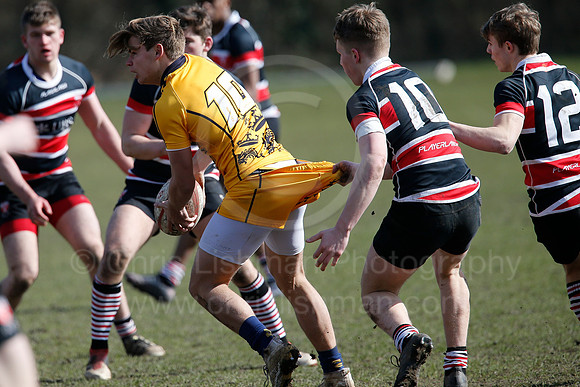 Rosslyn Park 7's_051_LC_7243
