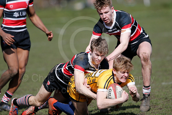 Rosslyn Park 7's_065_LC_7306