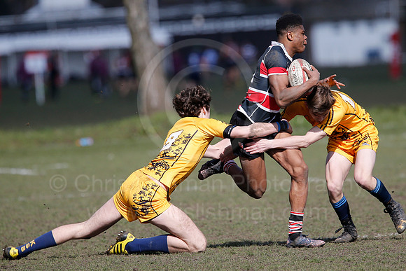 Rosslyn Park 7's_067_LC_7322