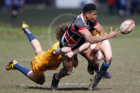 Rosslyn Park 7's_068_LC_7327