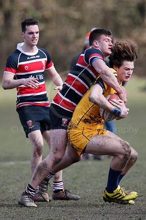 Rosslyn Park 7's_075_LC_7391