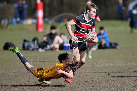 Rosslyn Park 7's_082_LC_7441