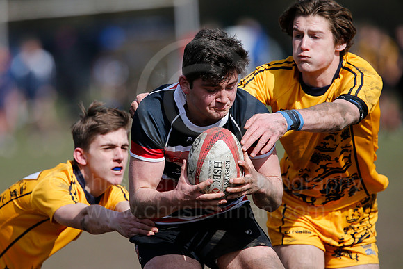 Rosslyn Park 7's_091_LC_7480