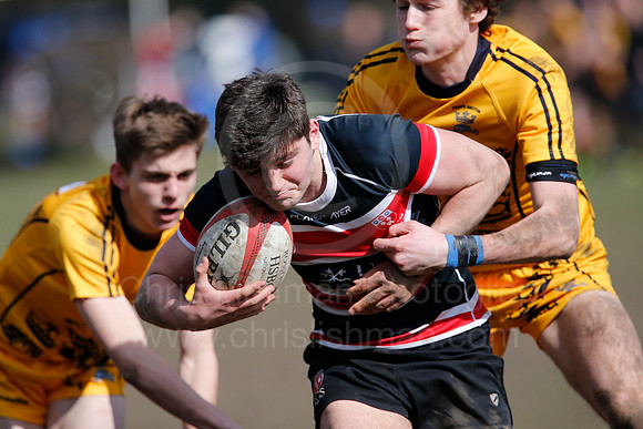 Rosslyn Park 7's_092_LC_7482