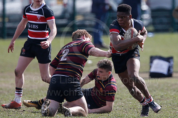 Rosslyn Park 7's_099_LC_7539