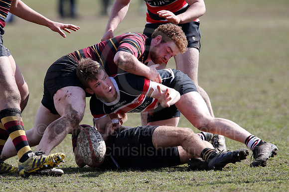 Rosslyn Park 7's_123_LC_7705