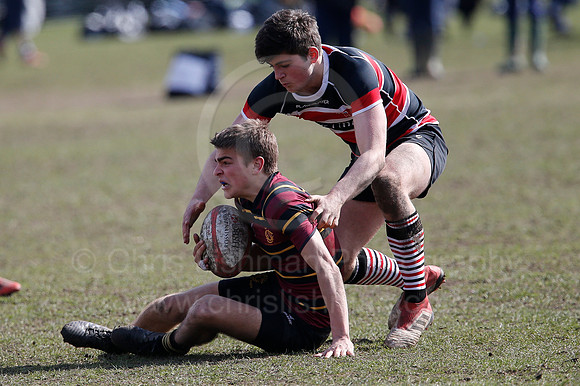 Rosslyn Park 7's_125_LC_7717