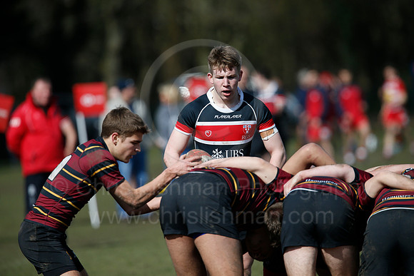 Rosslyn Park 7's_136_LC_7799