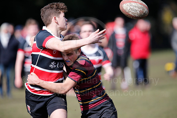 Rosslyn Park 7's_173_LC_7966