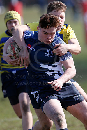 Rosslyn Park 7's_213_LC_8187