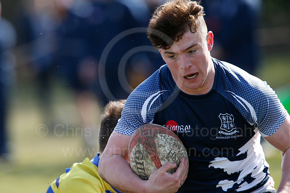 Rosslyn Park 7's_219_LC_8230